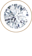 Palm Beach Jewelry Appraisals Logo